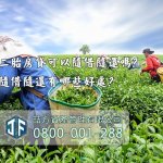 台灣茶農採採收茶葉