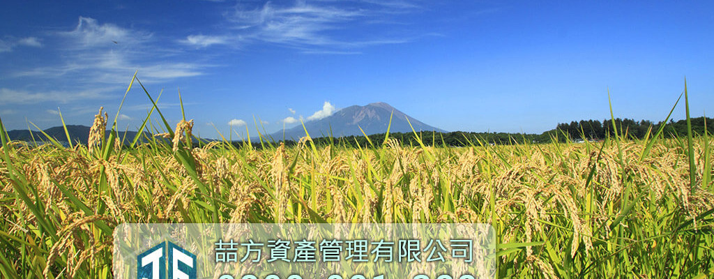 台灣農地稻田